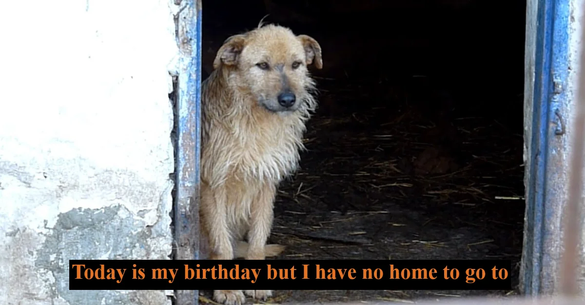 Today is my birthday but I have no home to go to