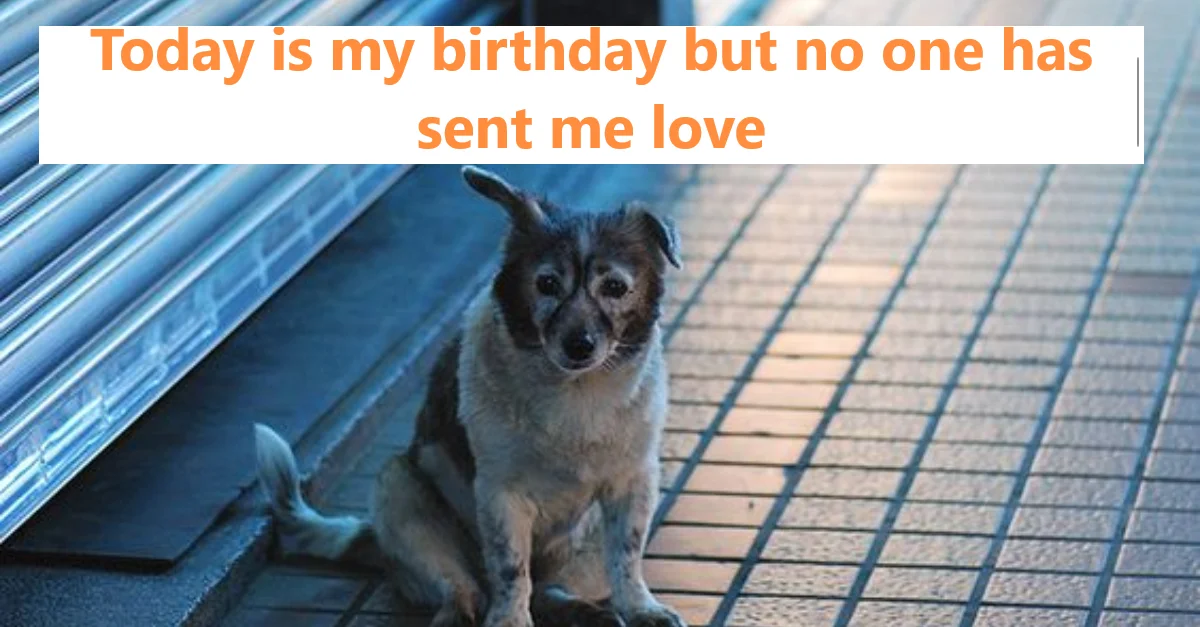 Today is my birthday but no one has sent me love and no one has shared it