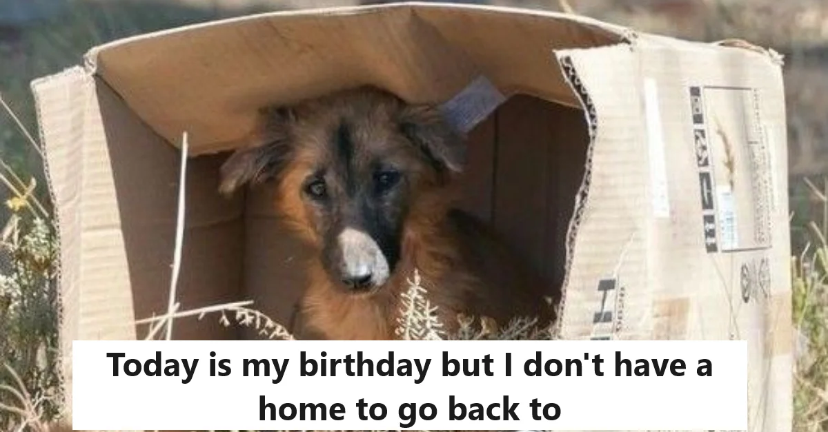 Today is my birthday but I don’t have a home to go back to