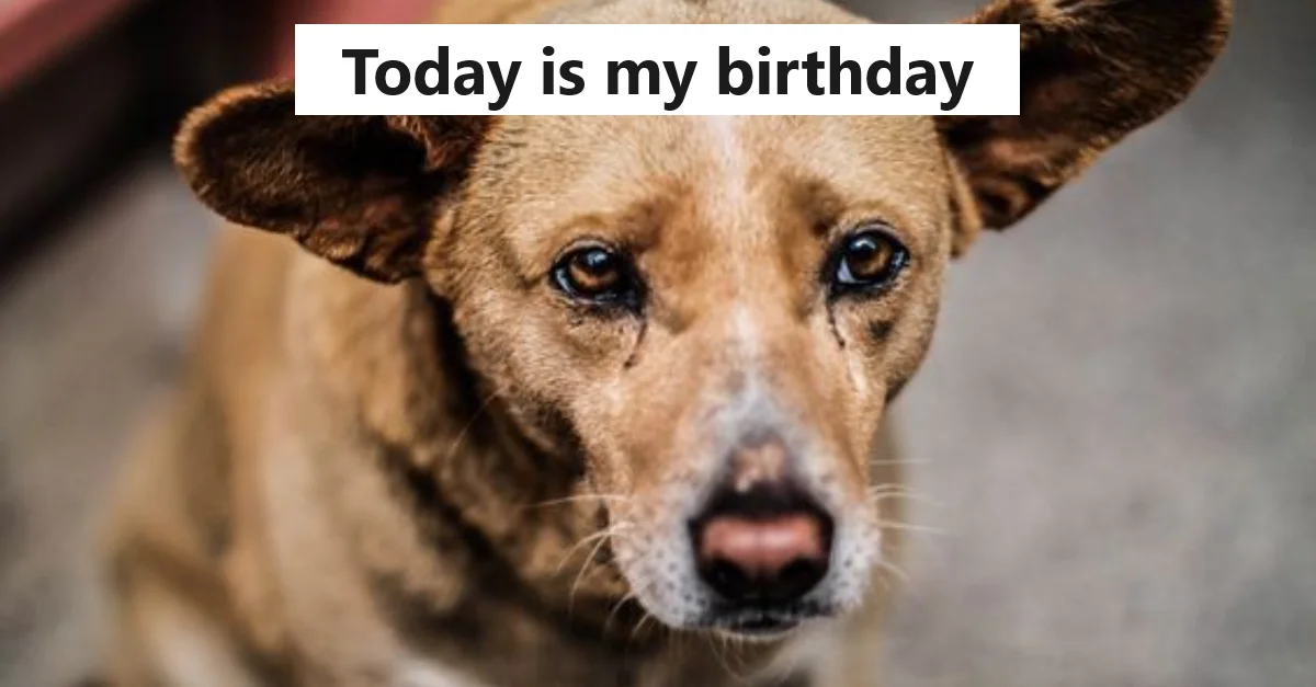 Today is my birthday, but I still haven’t received any congratulations