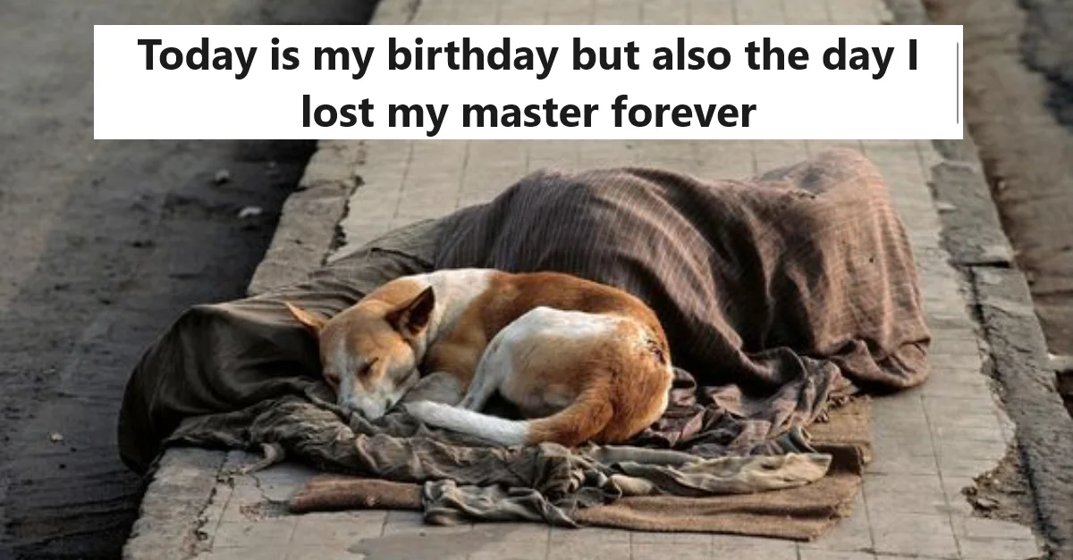 Today is my birthday but also the day I lost my master forever