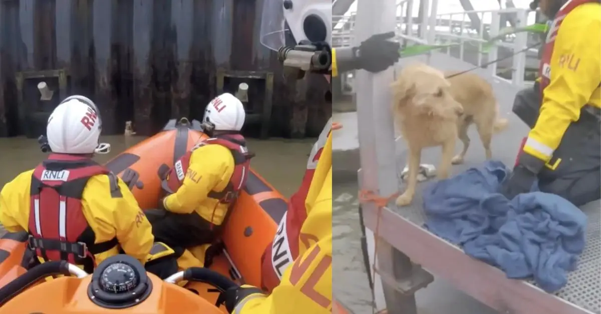 Rescuers start up their boat upon noticing an individual clinging to the river wall in a desperate attempt to stay alive