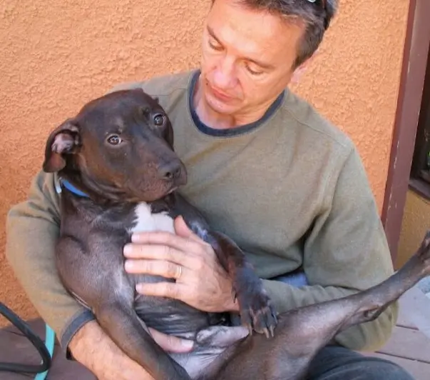 Abandoned Pups Find Hope at San Marcos High School