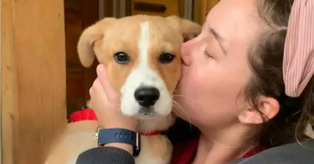 A frightened puppy that continuously cried in a shelter has discovered her happily-ever-after