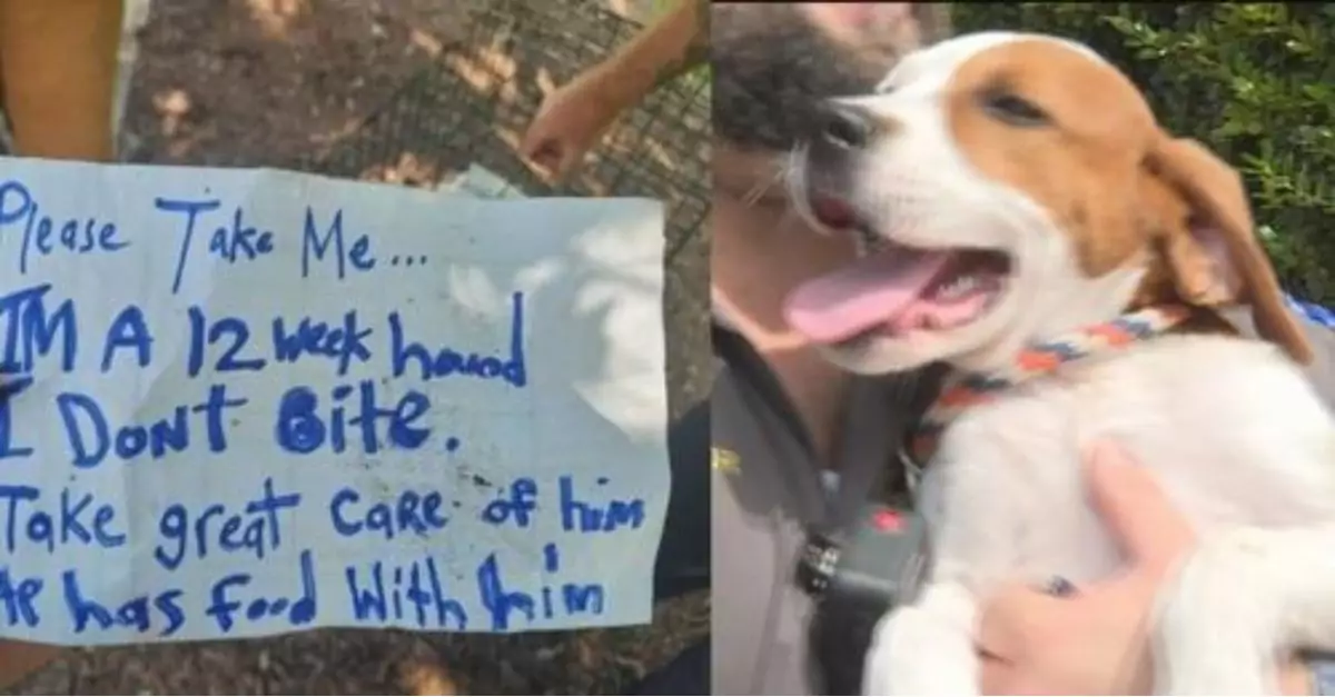 An abandoned puppy was found locked in a cage next to a busy overpass, with a note saying “please take me” and a miracle happened