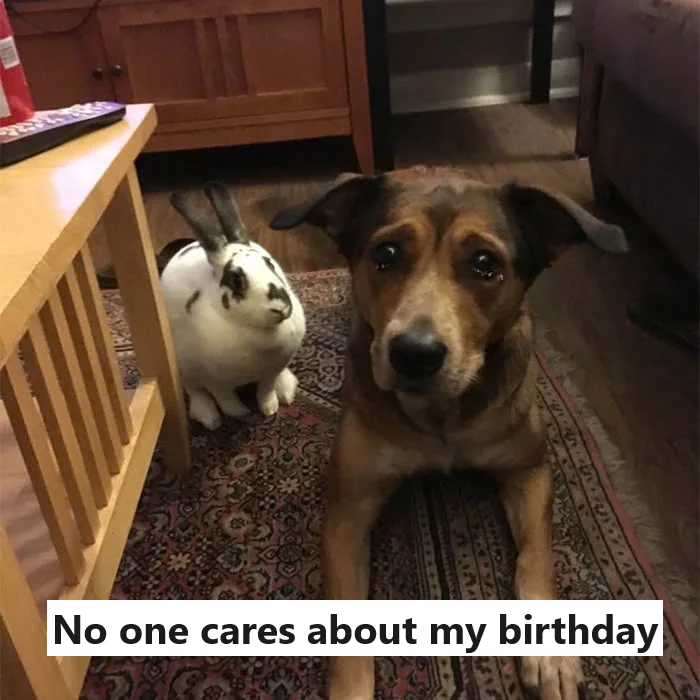 Today is my birthday but no one in this house remembers it