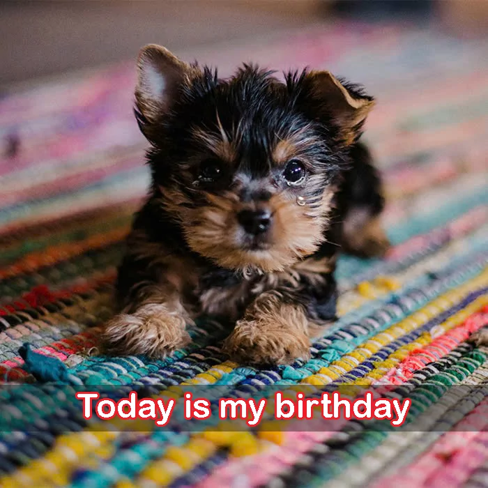 Today is my birthday but I am sad because no one remembers it