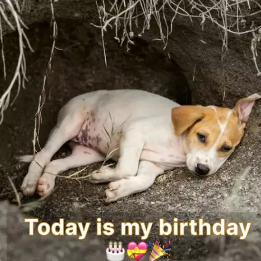 It’s my birthday and I’m abandoned, I don’t even have a home to return to