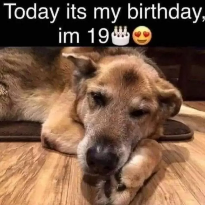 Today is my 19th birthday but I am sad because no one remembers it