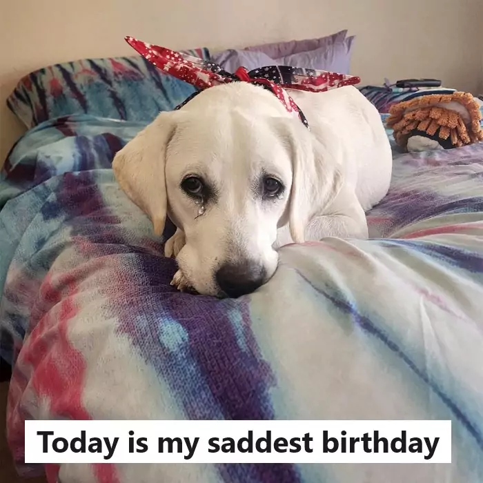 Today is my birthday but it’s sad because my parents don’t want to raise me anymore