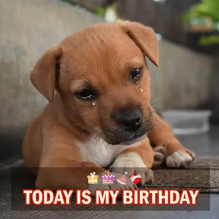 Today is my birthday but also the day I was abandoned, hope to still receive everyone’s wishes