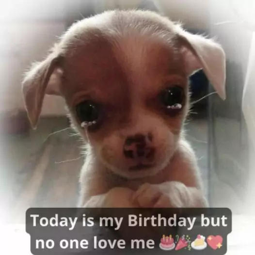 Today is my birthday but no one love me