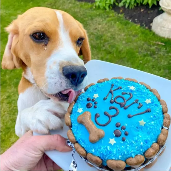 The first birthday cake I received after 3 years living in a shelter, happy birthday to me