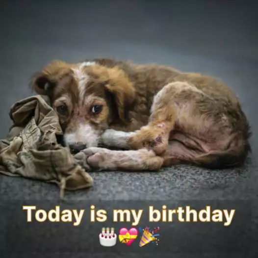 Today is my birthday, I just wish I had a warm home