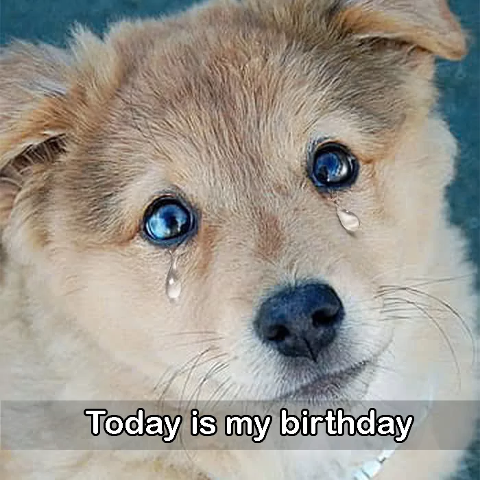 Today is my birthday but I feel very sad because no one has sent me any birthday wishes yet