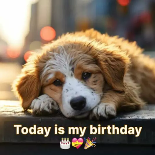 Today is my birthday but I am sad because no one remembers it