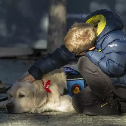 This dog doesn’t care about anything else, still loyally waiting for the owner who abandoned it to return