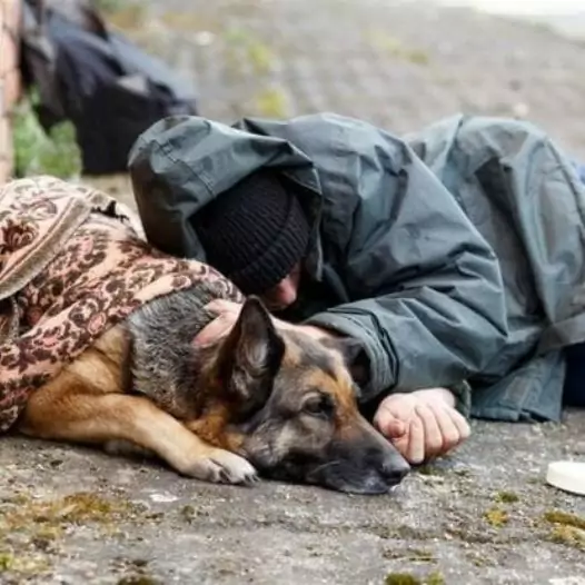 This loyal dog never leaves his homeless owner’s side even though he can’t give the dog the best things