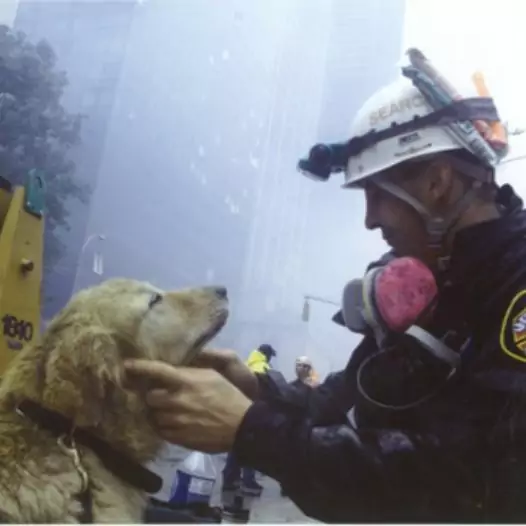 The dog looked affectionately to show gratitude to the fireman who had just saved its life from the fire