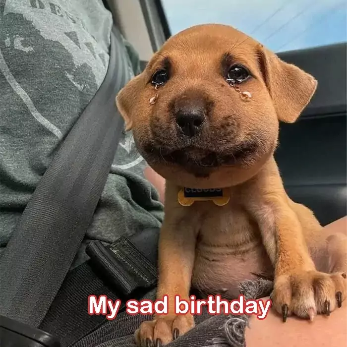 A sad birthday: My foster parents sent me to a shelter because they didn’t want me anymore