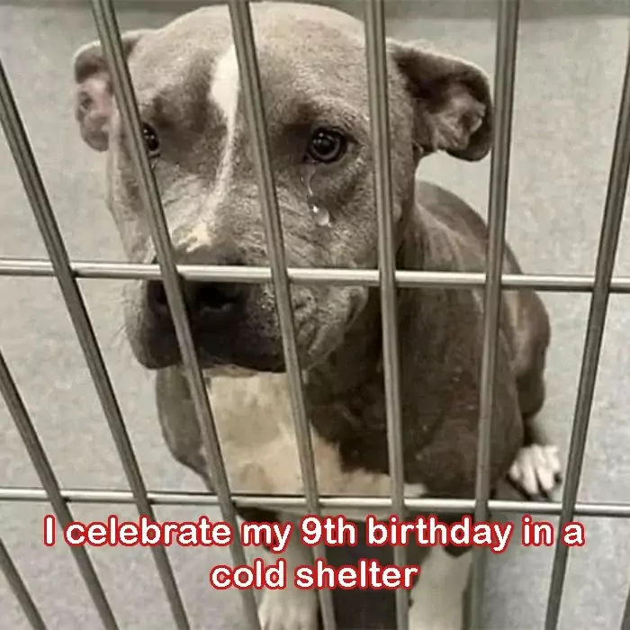 Today, I celebrate my 9th birthday in a cold shelter