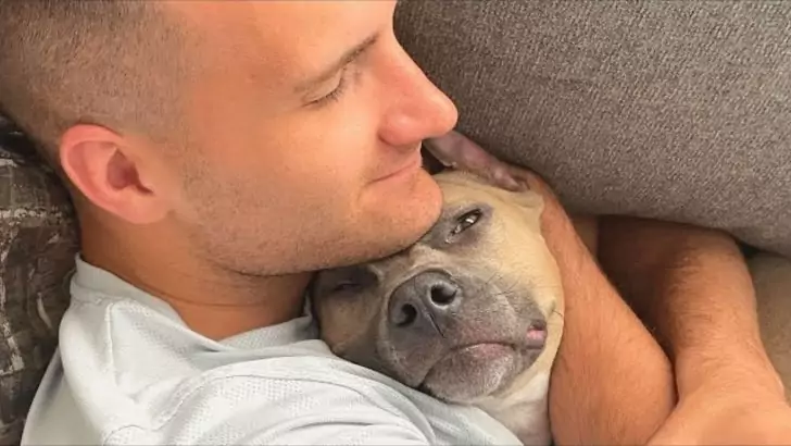 Couple Shock to Discover an Unusual Characteristic of Their Adopted Pitbull