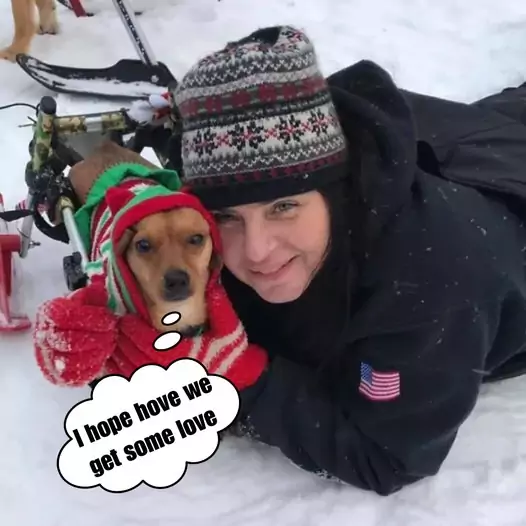 She adopted this disabled stray dog ​​and gave it a warm, happy life in this cold winter