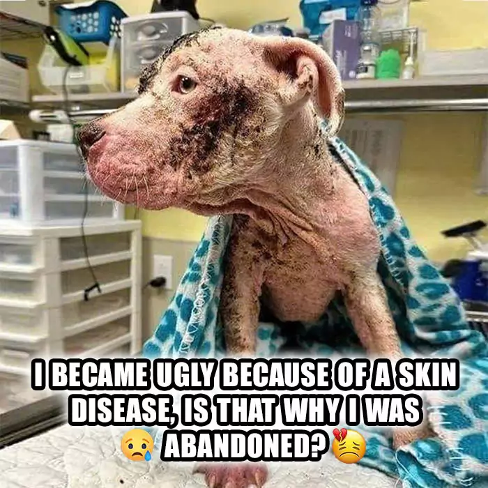 I became ugly because of a skin disease, is that why I was abandoned?