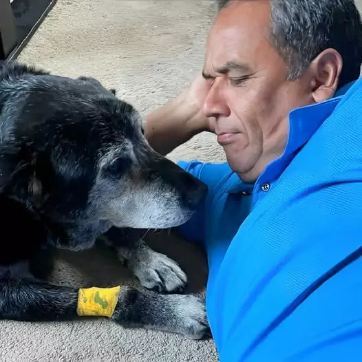 This man was by his dog’s side during its final moments