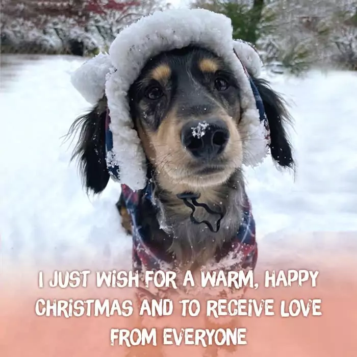 I just wish for a warm, happy Christmas and to receive love from everyone