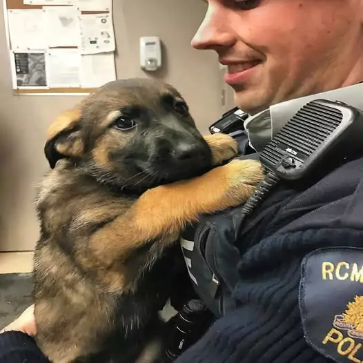 This police officer rescued an abandoned puppy and gave it the love it had never felt before