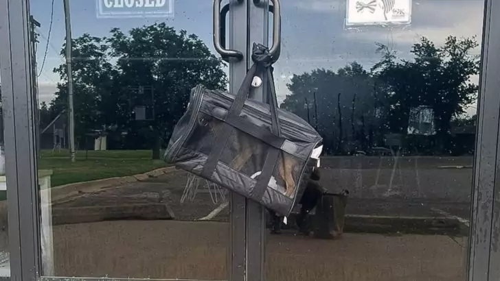 A rescue worker was on his way to work when he suddenly noticed a large bag stuck to the door handle and was shocked to discover that it was an abandoned dog inside